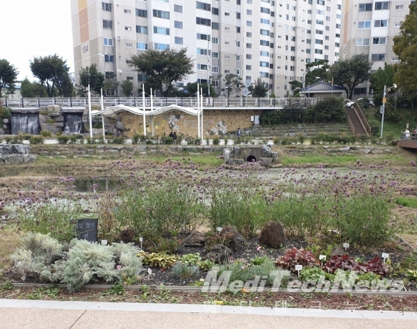 제1기 대구시 시민정원사의 정원(천내천)
